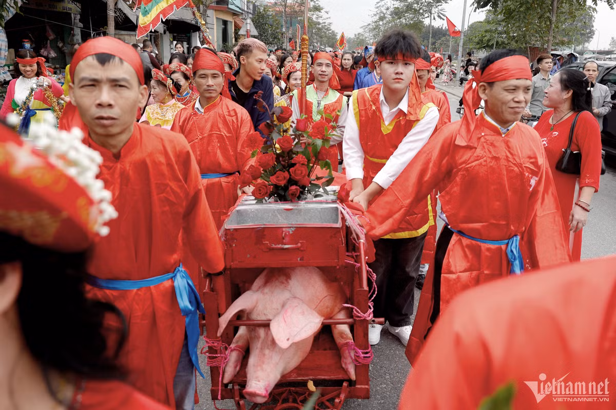Những hình ảnh góp lộc, cho “ông ỉn" ăn được dân gian ngầm hiểu rằng cùng có công nuôi “ông ỉn" để khao quân.