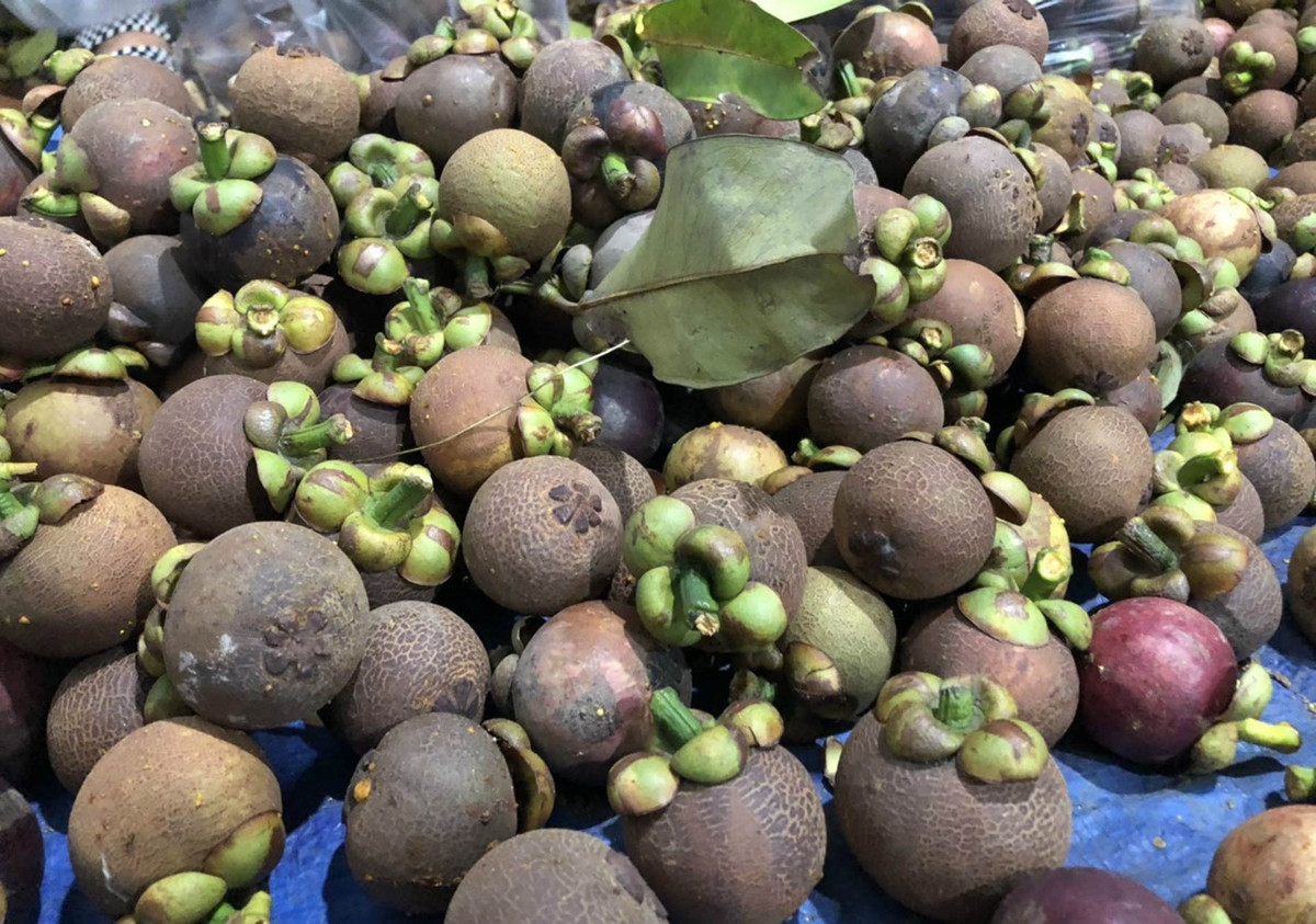 iPhone 12 rot gia manh, thu phu mang cut roi vao canh mat mua