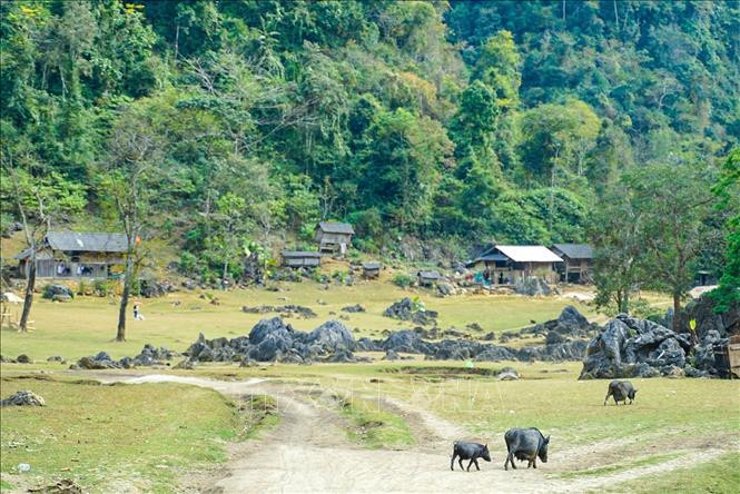 Hang Táu (làng nguyên thủy) là một trong những địa điểm được huyện Mộc Châu định hướng phát triển du lịch bên vững bảo tồn, giữ gìn nét văn hóa và tự nhiên ở nơi đây.