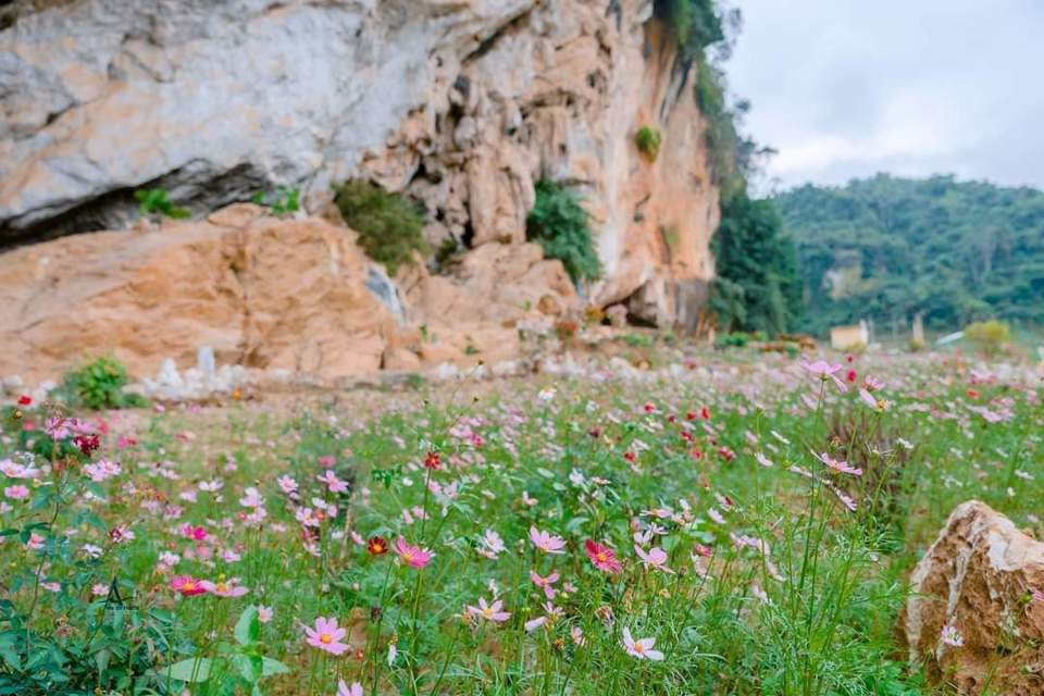  Hang Bua là địa danh văn hóa lịch sử gắn liền với người dân vùng Phủ Quỳ nói chung, người dân tộc Thái ở huyện Quỳ Châu (Nghệ An) nói riêng. Nằm trên dãy núi đá vôi “Phà Én” thuộc hệ thống dãy Trường Sơn Bắc, theo tiếng Thái gọi hang động là Thẳm, nên còn gọi tên là hang Thẳm Bua.