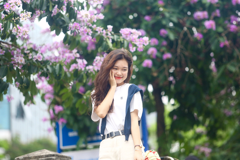 “Hàng cây ở đây nở rất đẹp, hoa rất dày và thấp nên dễ chụp ảnh. Qua mạng xã hội mọi người biết để tìm đến”- một người chia sẻ.