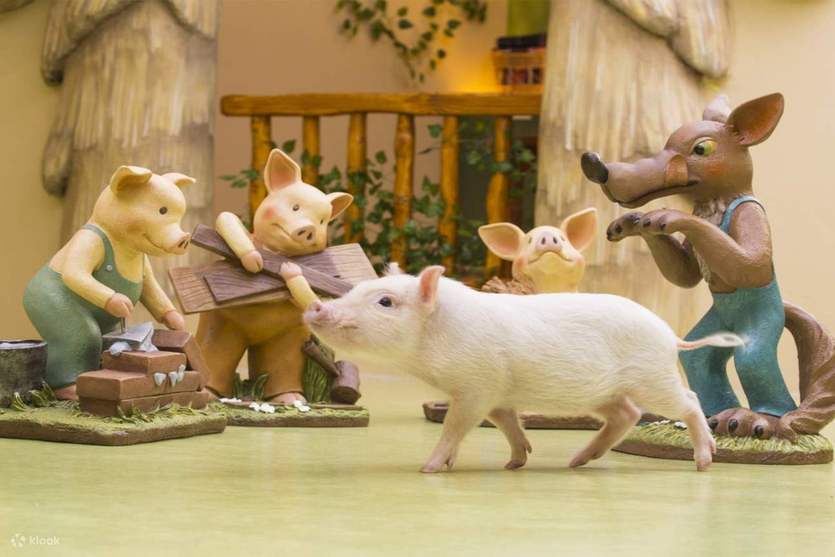 Quán cà phê “ôm lợn chữa lành” gây sốt, khách xếp hàng chờ chỗ - Hình 2 Quan ca phe “om lon chua lanh” gay sot, khach xep hang cho cho-Hinh-2