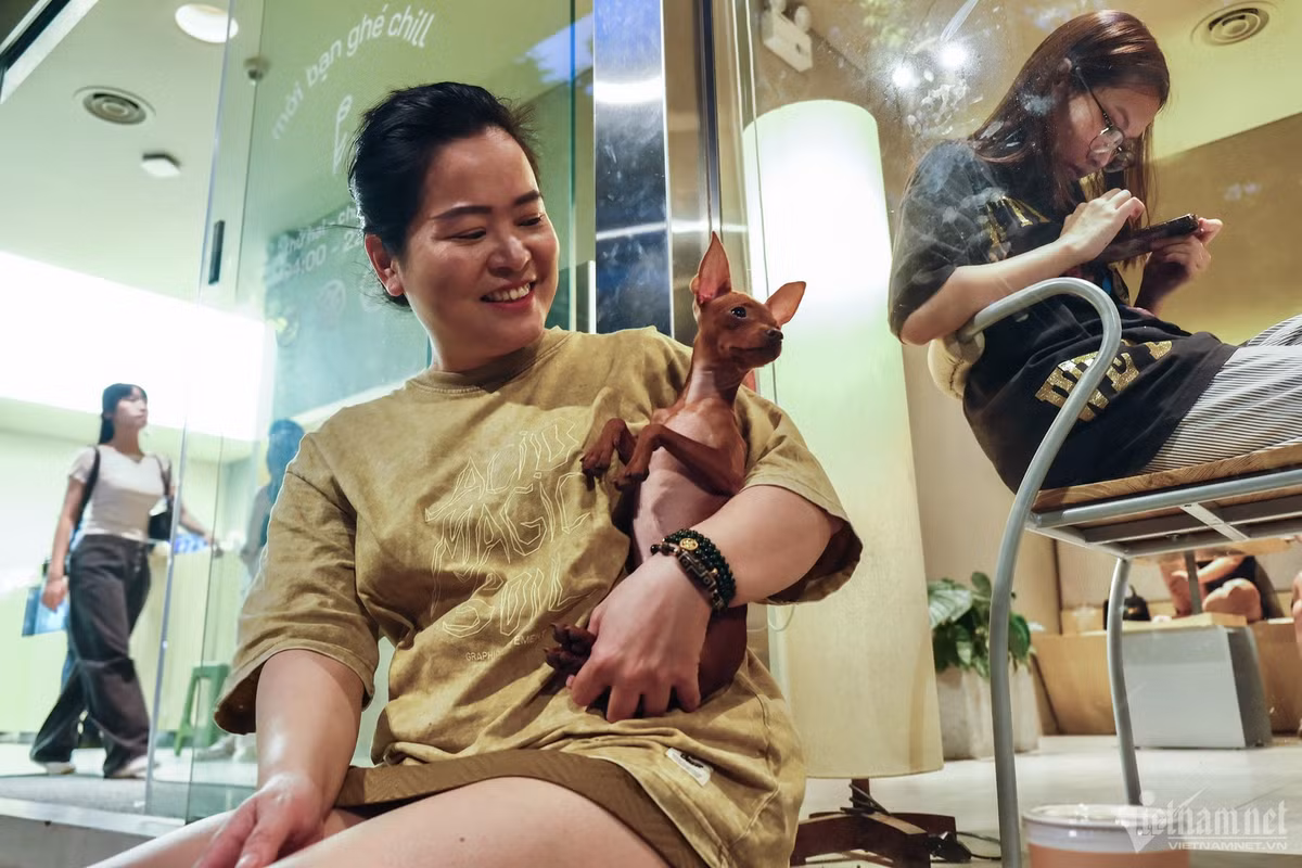 Chị Hằng (41 tuổi, ở Cầu Giấy) đem theo thú cưng đi uống cà phê khi trời còn chưa sáng. "Thấy trên mạng xã hội đang rầm rộ trào lưu đi uống cà phê từ tinh mơ, nên tôi cũng bế chú cún con đến để thử xem sao. Thời điểm này rất dễ chịu vì trời còn mát, phố xá lại quang đãng, mình có thể ngắm mọi thứ chầm chậm diễn ra", chị nói.