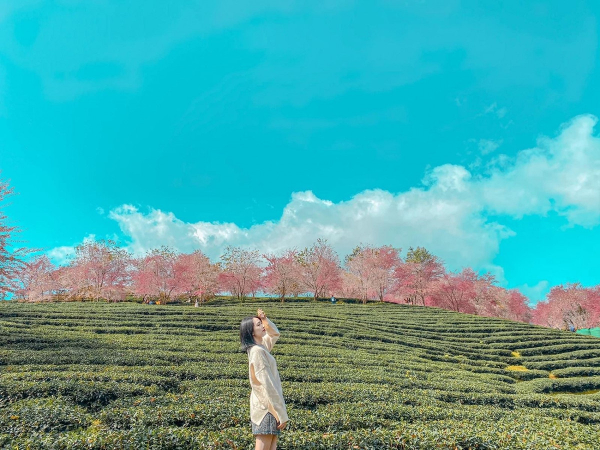 Cac diem du lich hap dan moi o Lao Cai