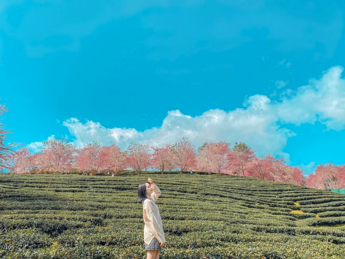 Cac diem du lich hap dan moi o Lao Cai