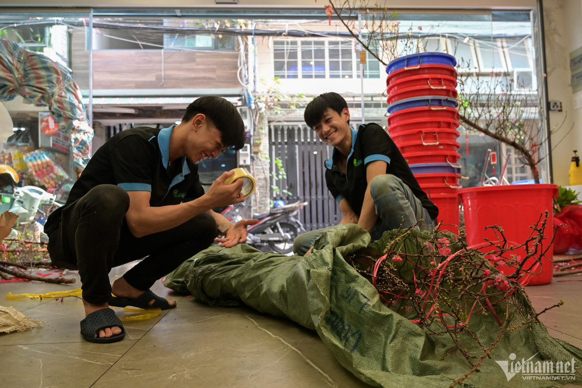 Tại một cửa hàng, những cành đào đang được đóng gói để chuyển cho khách. Theo chị Bích Hà, cơ sở này đã nhập đào về từ 1 tuần trước, mỗi ngày bán hơn 100 đơn, có cả khách đặt online. "Từ nay đến cận Tết Nguyên đán, mỗi ngày đều có những chuyến hàng mới được vận chuyển bằng máy bay để phục vụ khách chơi Tết", chị Hà chia sẻ thêm.