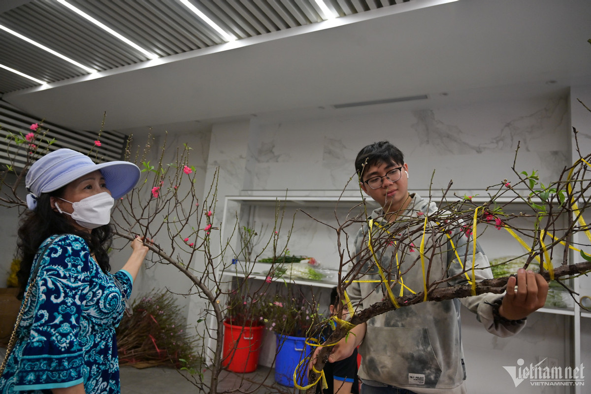 Những cành đào huyền to hơn, có dáng cong được bán giá từ 2 triệu đồng.