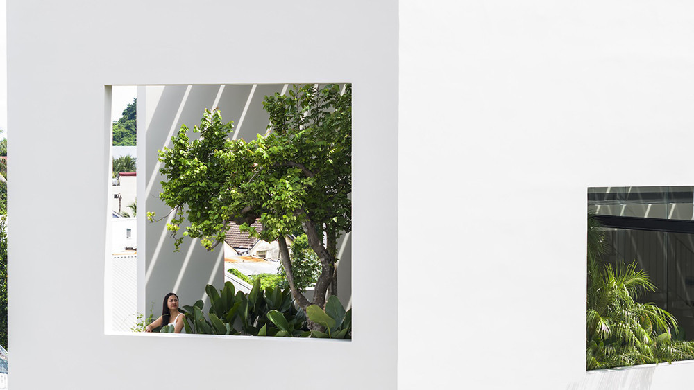 Ngôi nhà có nhiều khoảng không gian cây xanh, điều này giảm bụi từ bên ngoài, tăng chất lượng không khí trong nhà và tạo ra nhiều góc nhìn sống động, tươi mới.