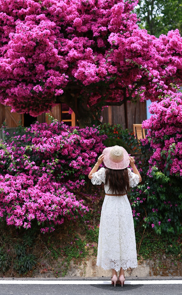 Gia chủ chia sẻ lượng khách ghé thăm đông vào thời điểm "hot" nhưng mỗi khách tự ý thức đảm bảo an toàn giao thông khi chụp.