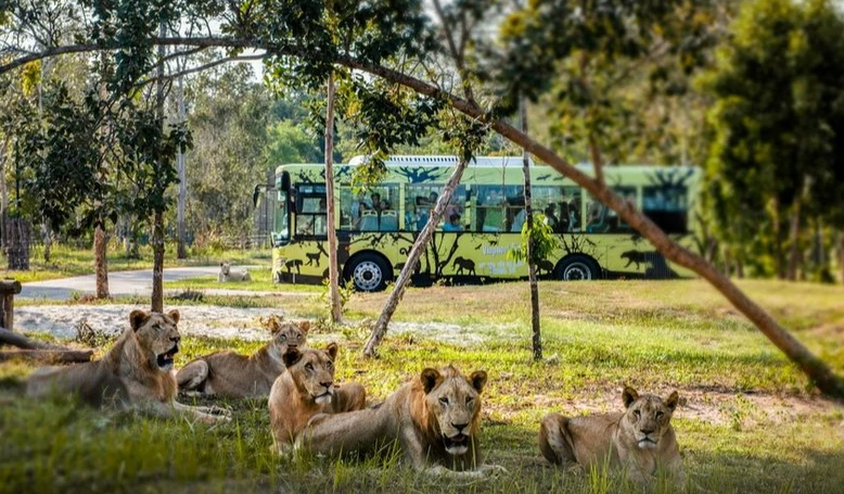 Cach de toi Phu Quoc vao mua dep nhat trong nam-Hinh-3