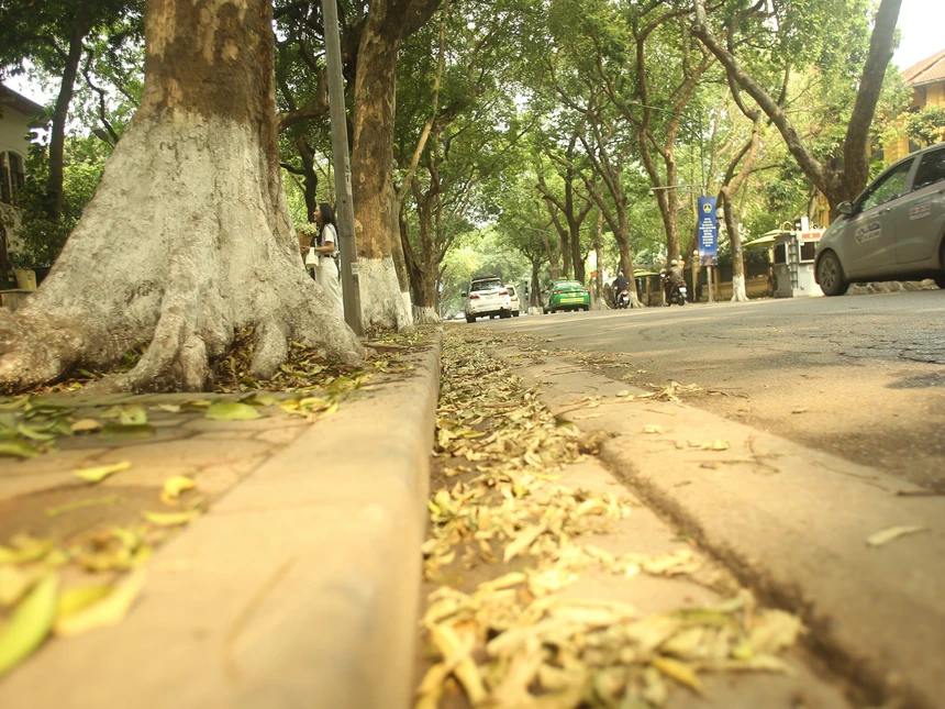 Khung cảnh dường như khiến con người ta cảm thấy thanh thản đến lạ kỳ.