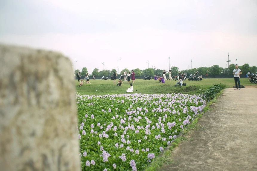 Đây là địa điểm check-in mới lạ nên không phải ai cũng biết đến.