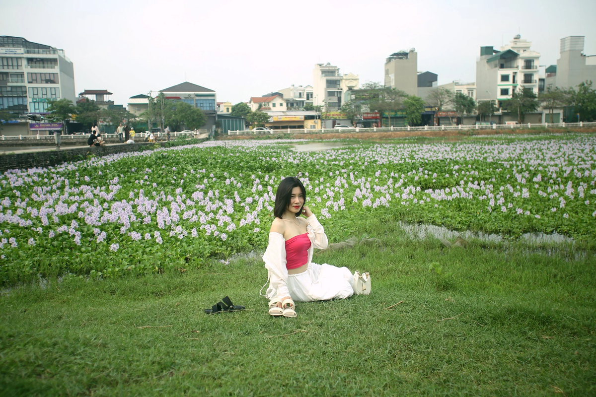 Một số bạn trẻ chụp ảnh bên cánh đồng hoa lục bình. 