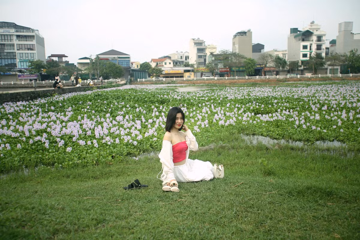 Một số bạn trẻ chụp ảnh bên cánh đồng hoa lục bình. 