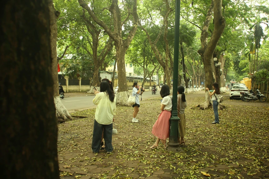 Rất đông người tìm đến đây và lựa chọn cho mình góc chụp đẹp nhất.