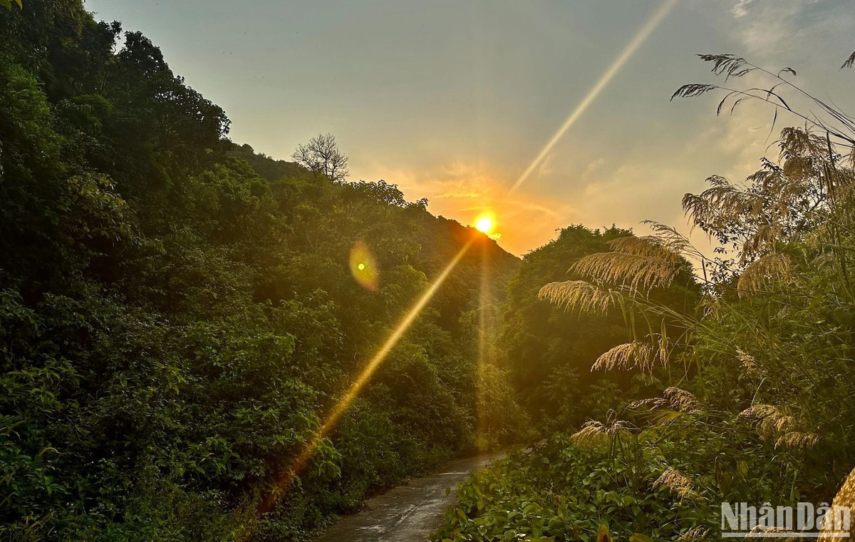 Cổng rừng Sơn Trà sẽ đóng lúc 18 giờ hằng ngày. Để bảo đảm an toàn cho người dân, du khách, chính quyền thành phố Đà Nẵng đã có những quy định nghiêm ngặt đối với người, phương tiện lưu thông lên Bán đảo Sơn Trà. Bốn mùa trên Sơn Trà, là những khoảnh khắc tinh tuý nhất của thiên nhiên đã ban tặng con người. Yêu rừng, là mỗi chúng ta đang yêu chính nguồn sống của mình. (Ảnh ANH ĐÀO)