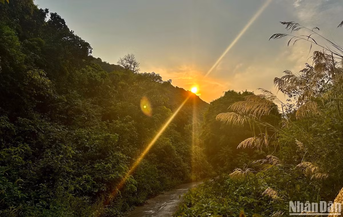 Cổng rừng Sơn Trà sẽ đóng lúc 18 giờ hằng ngày. Để bảo đảm an toàn cho người dân, du khách, chính quyền thành phố Đà Nẵng đã có những quy định nghiêm ngặt đối với người, phương tiện lưu thông lên Bán đảo Sơn Trà. Bốn mùa trên Sơn Trà, là những khoảnh khắc tinh tuý nhất của thiên nhiên đã ban tặng con người. Yêu rừng, là mỗi chúng ta đang yêu chính nguồn sống của mình. (Ảnh ANH ĐÀO)