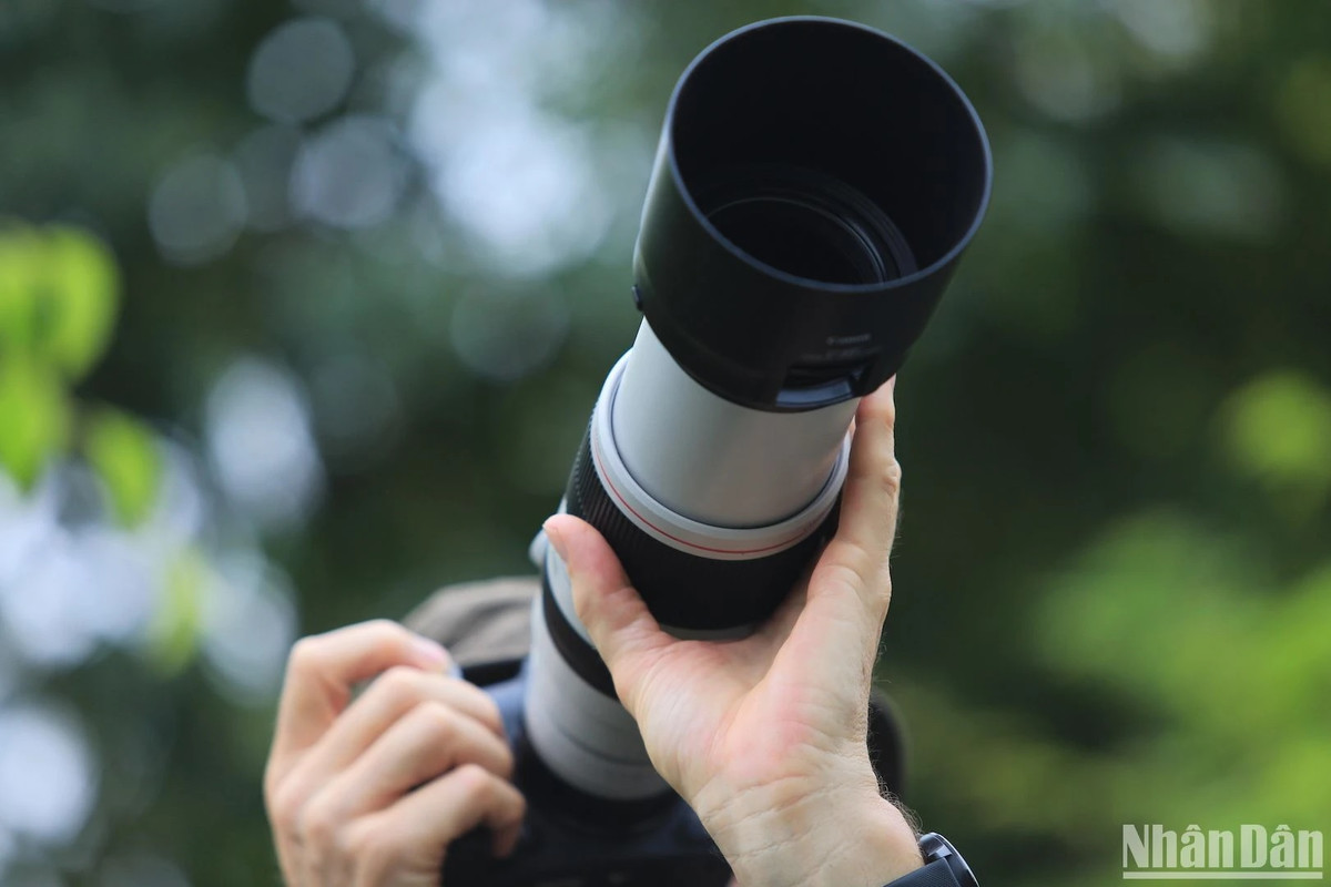 Nếu bạn muốn săn được những bức ảnh đẹp trên mùa hoa thàn mát tím, hãy đợi khi nắng lên, sắc tím sẽ khoe trọn vẻ tuyệt đẹp giữa bạt ngàn sắc xanh. (Ảnh ANH ĐÀO)