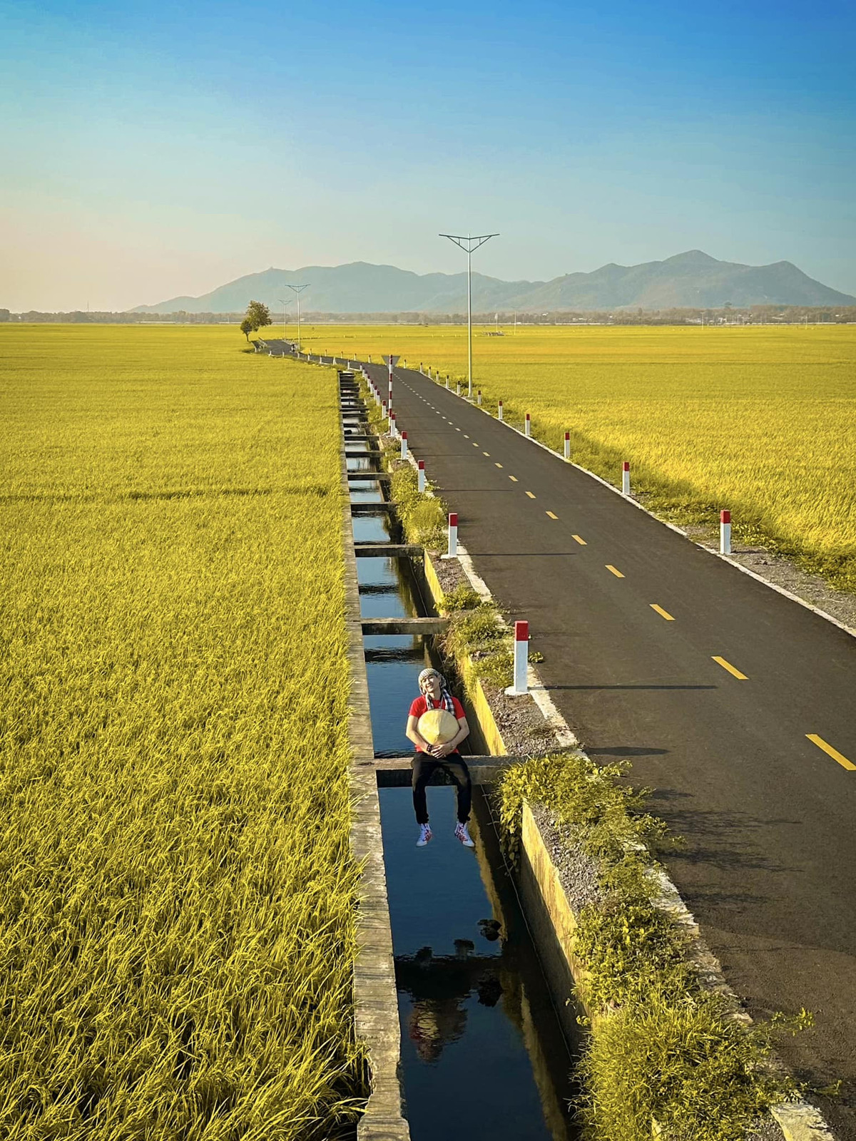 Con duong giua canh dong vang ruom o Vung Tau dep gay sot-Hinh-2