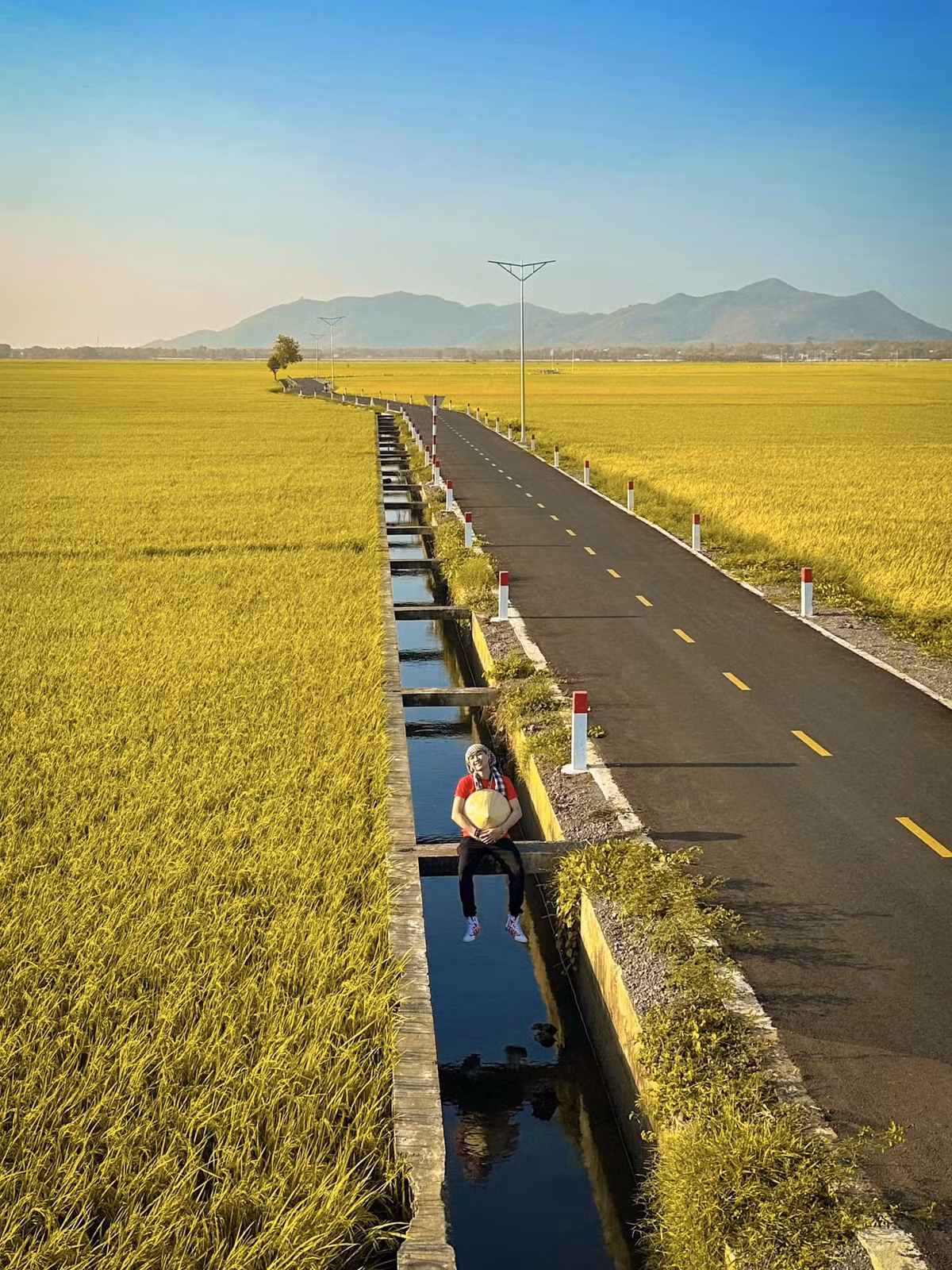 Con duong giua canh dong vang ruom o Vung Tau dep gay sot-Hinh-2