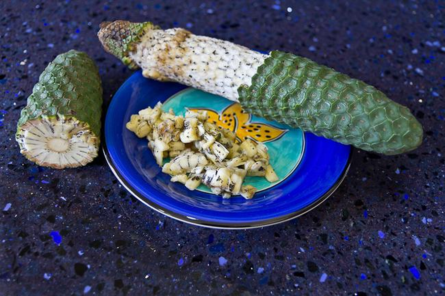 Nhiều nơi ở Trung Mỹ, Monstera deliciosa từ lâu đã trở thành thức ăn hàng ngày trong gia đình.