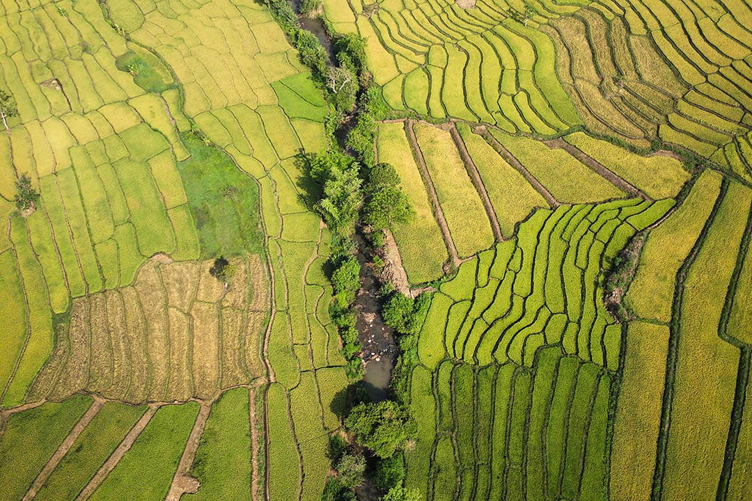  Ruộng bậc thang Chư Sê nhìn từ trên cao. Ảnh: MH