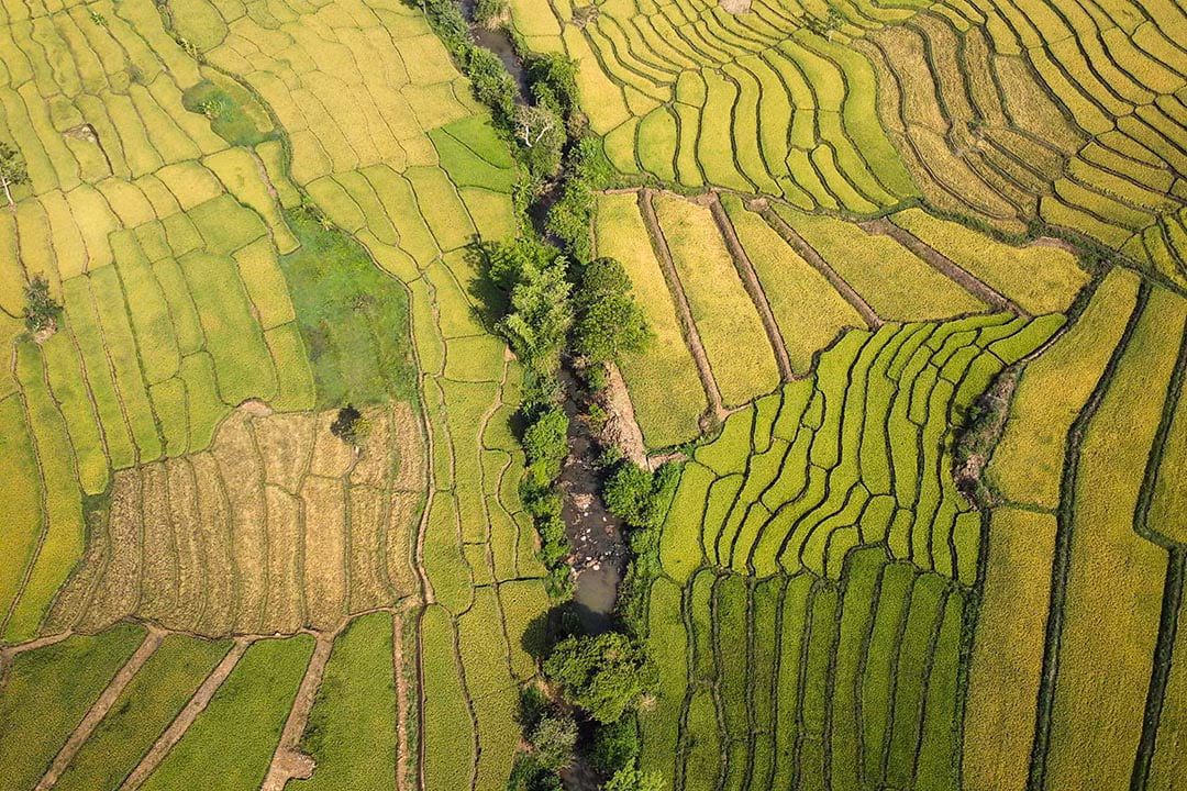  Ruộng bậc thang Chư Sê nhìn từ trên cao. Ảnh: MH