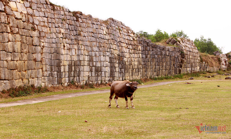 Ve dep binh di ben trong Di san The gioi Thanh nha Ho o Thanh Hoa-Hinh-5