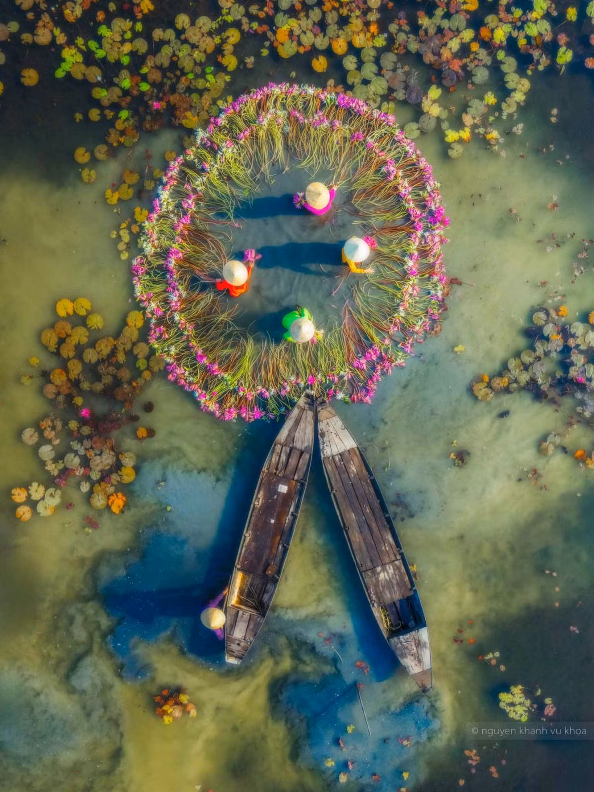 Những năm gần đây, Mộc Hóa trở thành điểm đến thu hút du khách, nhiếp ảnh gia đến “săn” ảnh bông súng. Ảnh: Nguyễn Khánh Vũ Khoa