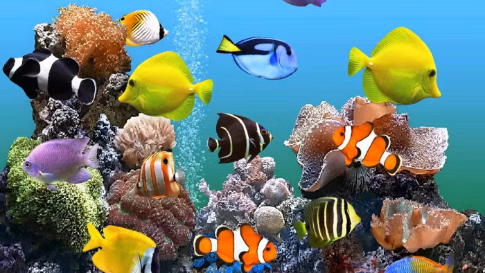 Nha co 3 thu nay, vut ngay keo ruoc hoa vao nguoi-Hinh-7