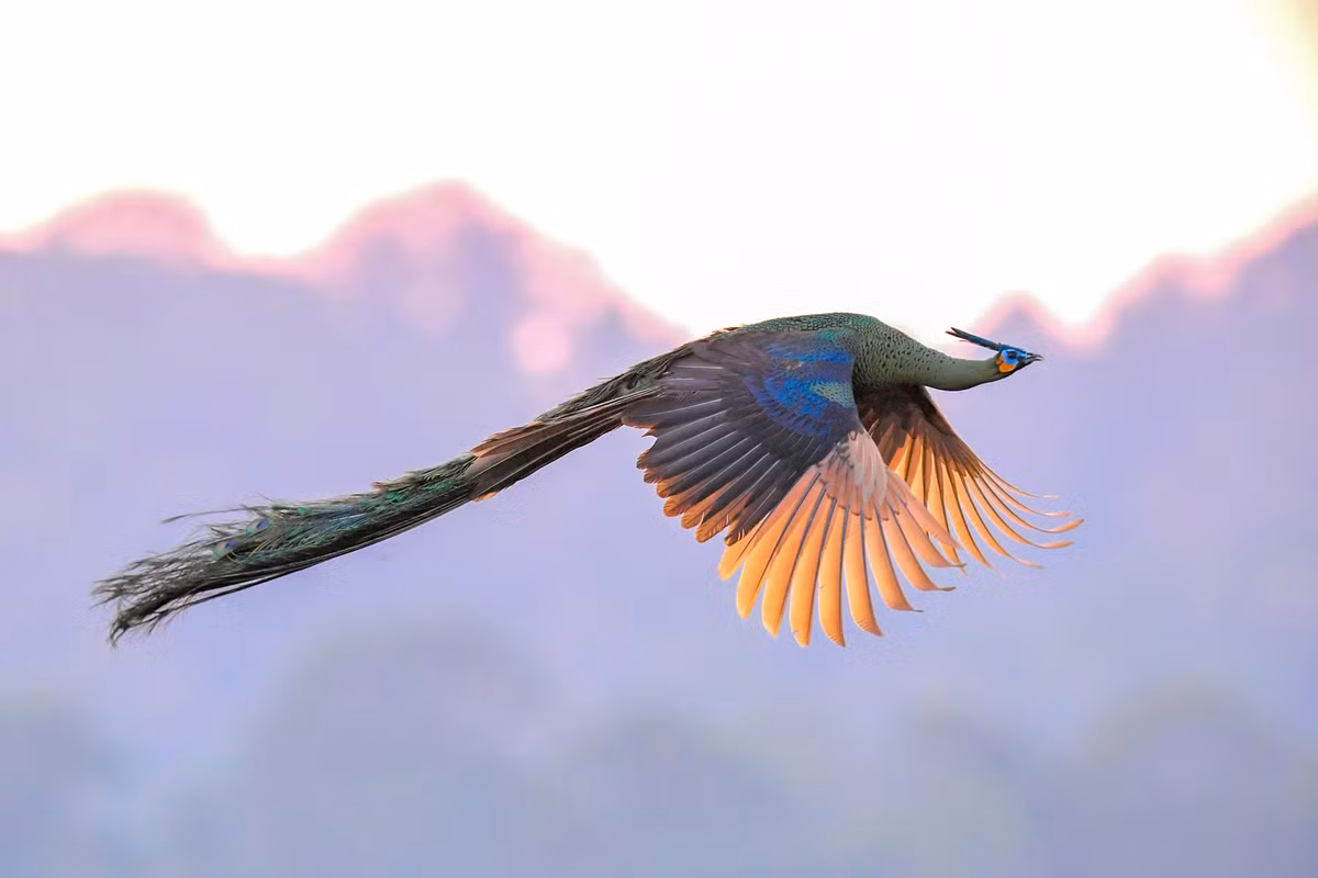 Mien co tich Cat Tien