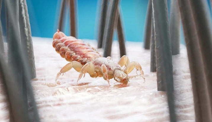 Su that ve nhiem ky sinh trung