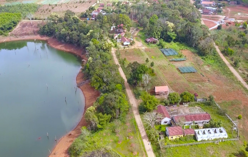 Ruc ro sac hoa anh dao Nhat Ban o Binh Dinh-Hinh-4