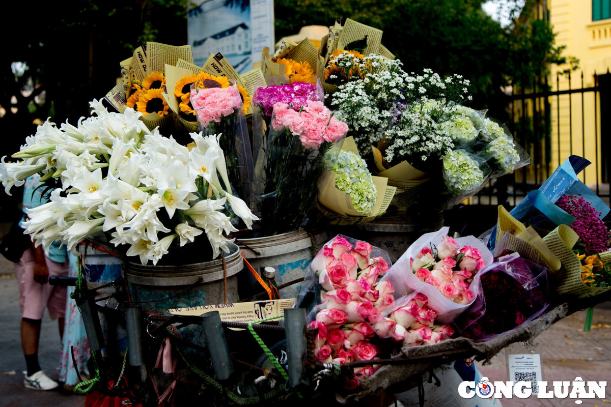 Tuy không rực rỡ, thơm ngát như nhiều loài hoa khác, nhưng sắc trắng giản dị lại tạo nên vẻ đẹp tinh khiết rất riêng cho hoa loa kèn.