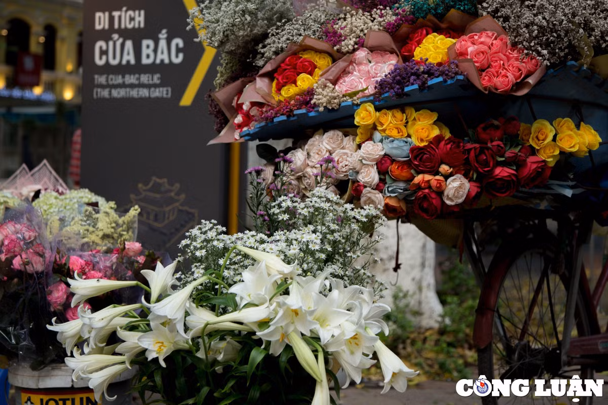 Giữa những con phố nhộn nhịp, đông đúc người qua kẻ lại, đâu đó du khách sẽ bắt gặp những gánh hoa loa kèn trắng muốt. Thậm chí, những bó loa kèn trắng tinh khôi, dịu dàng khoe sắc, trở thành điểm nhấn tuyệt đẹp cho bức tranh giao mùa của Hà Nội.