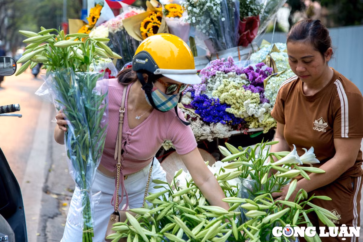 Các tiểu thương cho biết, giá hoa loa kèn đầu mùa thường sẽ đắt hơn chính vụ.