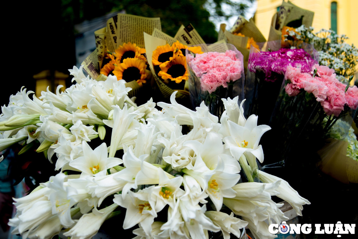 Hoa loa kèn giản dị mà thanh tao, từ lâu đã đi vào thi ca, nhạc, hoạ, trở thành biểu tượng cho những ngày đầu Hè của Hà Nội.