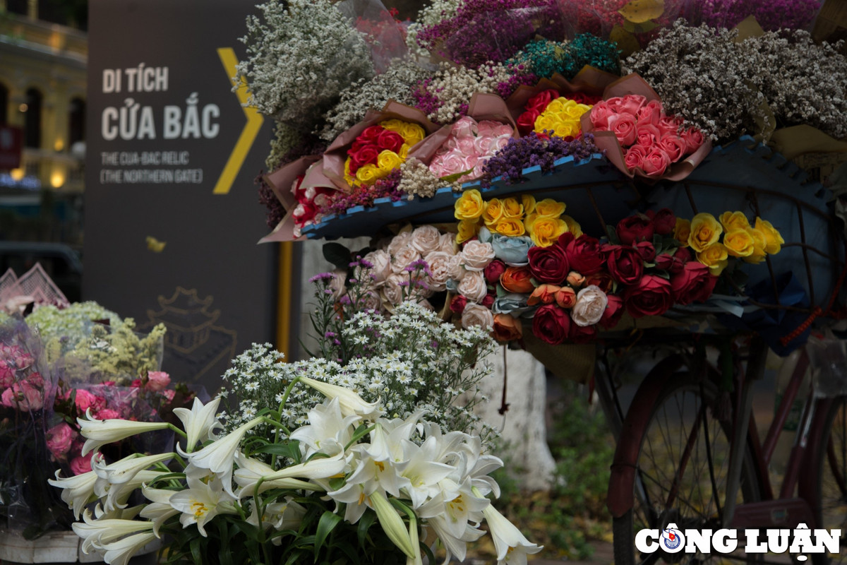 Không khó để bắt gặp những chiếc xe đạp chở đầy hoa loa kèn đầu mùa, tràn đầy sức sống.