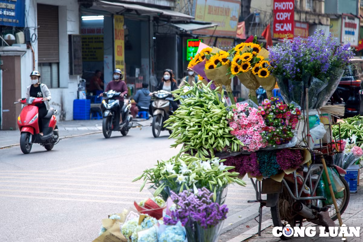 Những ngày này, hoa loa kèn thường được bày bán trên nhiều con phố như: Phan Đình Phùng, Thụy Khuê, Thanh Niên, Giảng Võ... những bông hoa loa kèn trắng tinh khôi xuống phố, báo hiệu những ngày Hè sắp về.