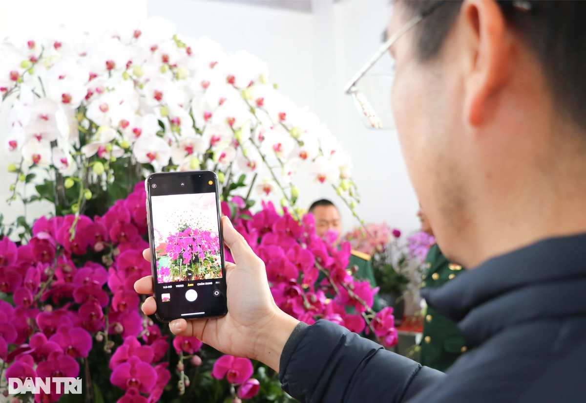 Làm nghề cắm hoa lan tuy vất vả nhưng bù lại thu nhập cao, bên cạnh đó người thợ có thêm niềm vui khi tác phẩm nghệ thuật của mình được khách hàng và người đến xem lan trầm trồ.