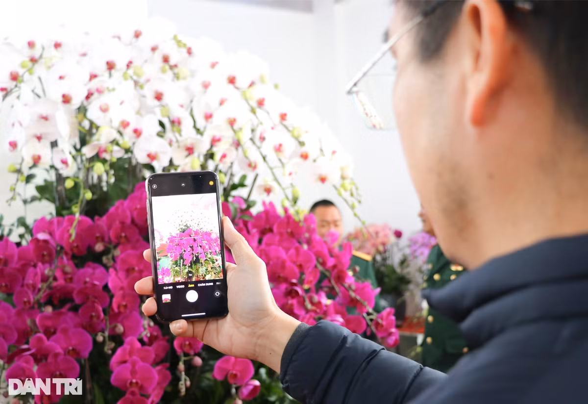 Làm nghề cắm hoa lan tuy vất vả nhưng bù lại thu nhập cao, bên cạnh đó người thợ có thêm niềm vui khi tác phẩm nghệ thuật của mình được khách hàng và người đến xem lan trầm trồ.