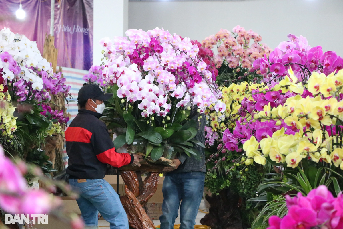 Thông thường công việc của thợ cắm lan sẽ kết thúc trước ngày 28 Tết. Thời gian còn lại, với số tiền 50-100 triệu đồng thu được từ công việc thời vụ Tết, họ có một khoản tích lũy, sắm sửa cho cái Tết ấm áp, đủ đầy.