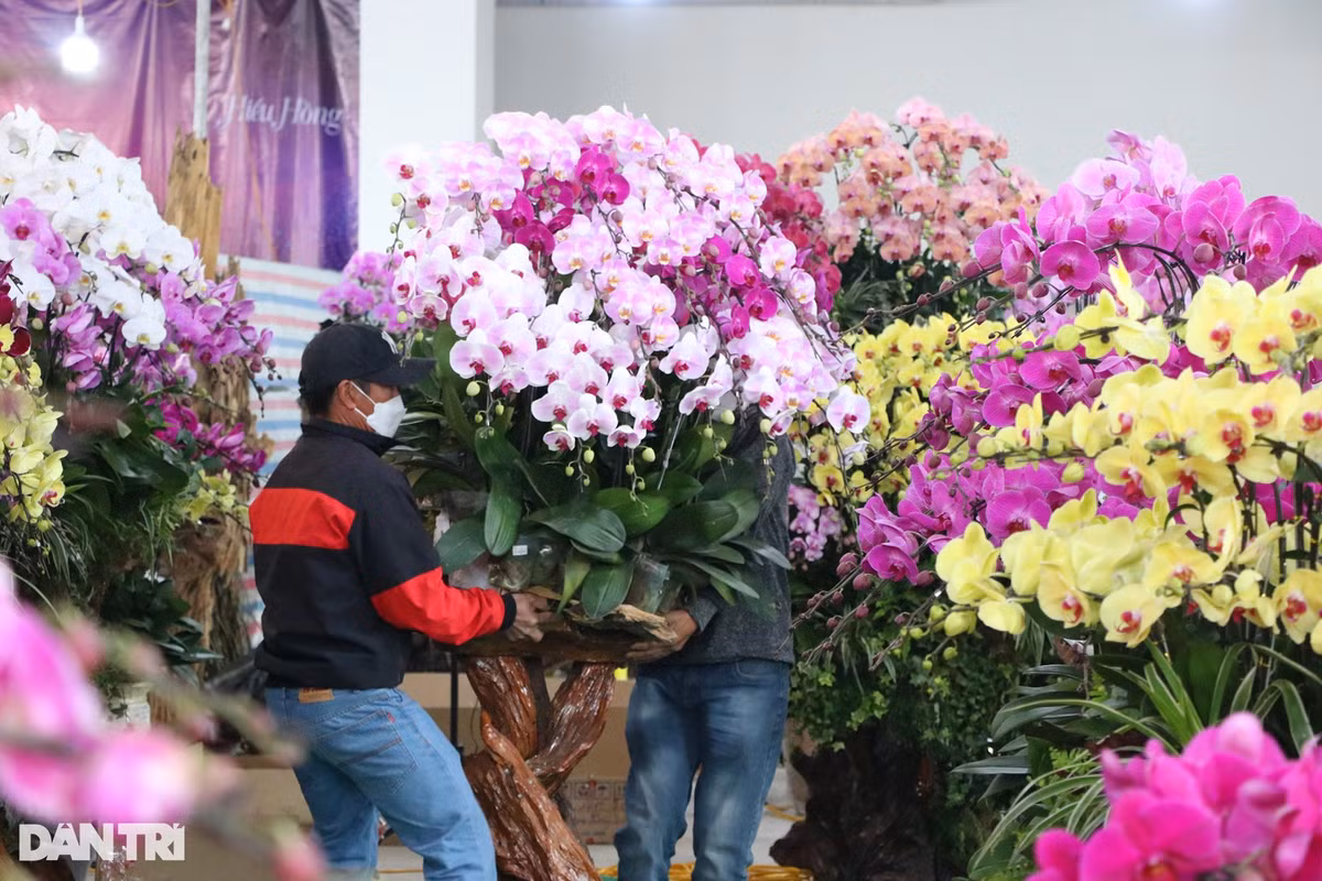 Thông thường công việc của thợ cắm lan sẽ kết thúc trước ngày 28 Tết. Thời gian còn lại, với số tiền 50-100 triệu đồng thu được từ công việc thời vụ Tết, họ có một khoản tích lũy, sắm sửa cho cái Tết ấm áp, đủ đầy.