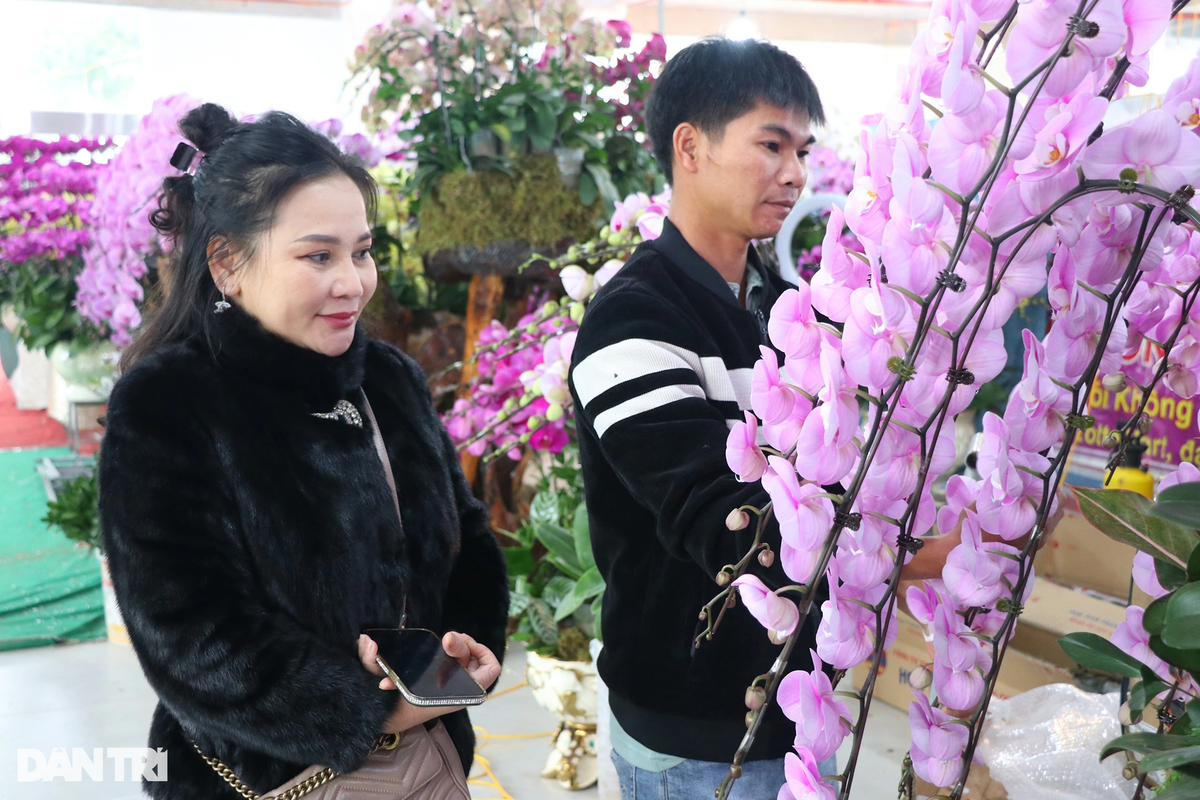 Bà Phạm Thị Thủy - chủ sơ sở kinh doanh hoa lan có tiếng ở TP Vinh (Nghệ An) - cho biết, cơ sở của bà đang có 10 lao động chính tạo đế gỗ lũa, cắm hoa và hơn 20 lao động thời vụ. "Cái khó nhất là tìm thợ cắm hoa. Thợ cắm hoa thì nhiều nhưng để cắm được bình hoa đẹp, độc, có tính nghệ thuật cao hợp ý khách thì không nhiều người làm được. Tuyển 10 thợ cắm hoa may ra chỉ chọn được một người. Có năm tôi thuê một nhóm thợ 5 người ở Đà Lạt ra nhưng phải mua vé trở về cho 4 người", bà Thủy nói.