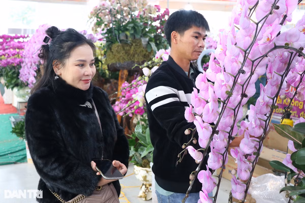 Bà Phạm Thị Thủy - chủ sơ sở kinh doanh hoa lan có tiếng ở TP Vinh (Nghệ An) - cho biết, cơ sở của bà đang có 10 lao động chính tạo đế gỗ lũa, cắm hoa và hơn 20 lao động thời vụ. "Cái khó nhất là tìm thợ cắm hoa. Thợ cắm hoa thì nhiều nhưng để cắm được bình hoa đẹp, độc, có tính nghệ thuật cao hợp ý khách thì không nhiều người làm được. Tuyển 10 thợ cắm hoa may ra chỉ chọn được một người. Có năm tôi thuê một nhóm thợ 5 người ở Đà Lạt ra nhưng phải mua vé trở về cho 4 người", bà Thủy nói.