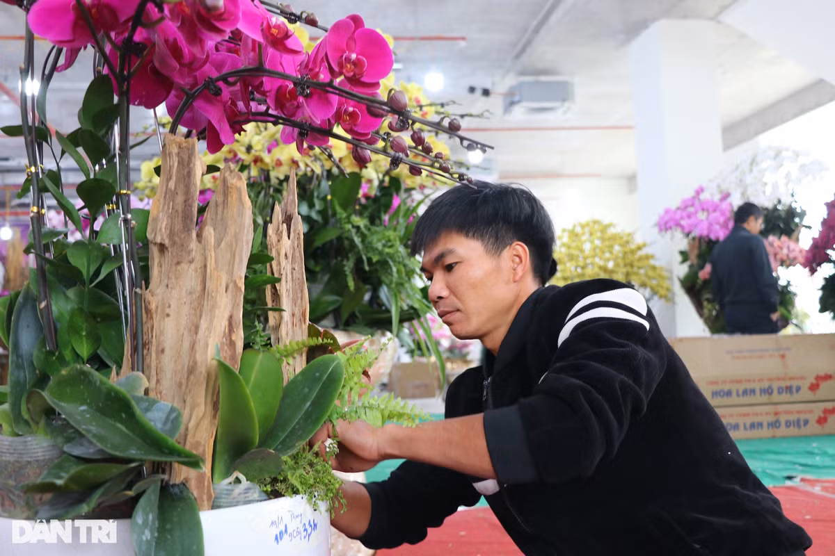 Anh Nguyễn Văn Hải (36 tuổi, quê Thanh Hóa) được đánh giá là một trong những thợ cắm hoa có tay nghề giỏi. Theo tiết lộ của anh Hải, vụ hoa Tết năm ngoái, thu nhập nhờ cắm hoa trong vòng 15 ngày của anh đạt gần 100 triệu đồng.