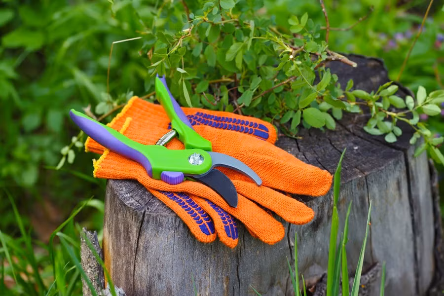 Người làm vườn ở đây được đào tạo đặc biệt để chăm sóc khu vườn. Họ phải đeo găng tay và thậm chí cả khẩu trang khi tiếp xúc với một số loài thực vật. 