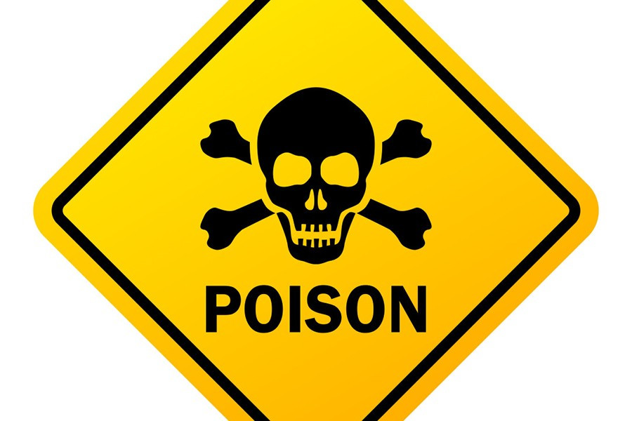 Họ chỉ có thể tham quan khi có hướng dẫn viên. Mỗi đợt mở cửa chỉ giới hạn 20 người để người hướng dẫn có thể giám sát mọi người.