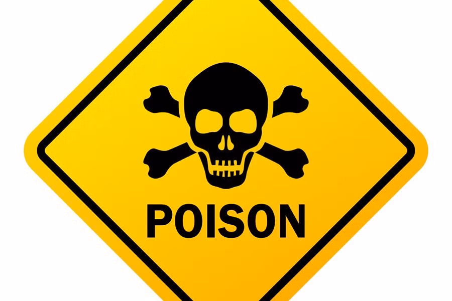 Họ chỉ có thể tham quan khi có hướng dẫn viên. Mỗi đợt mở cửa chỉ giới hạn 20 người để người hướng dẫn có thể giám sát mọi người.