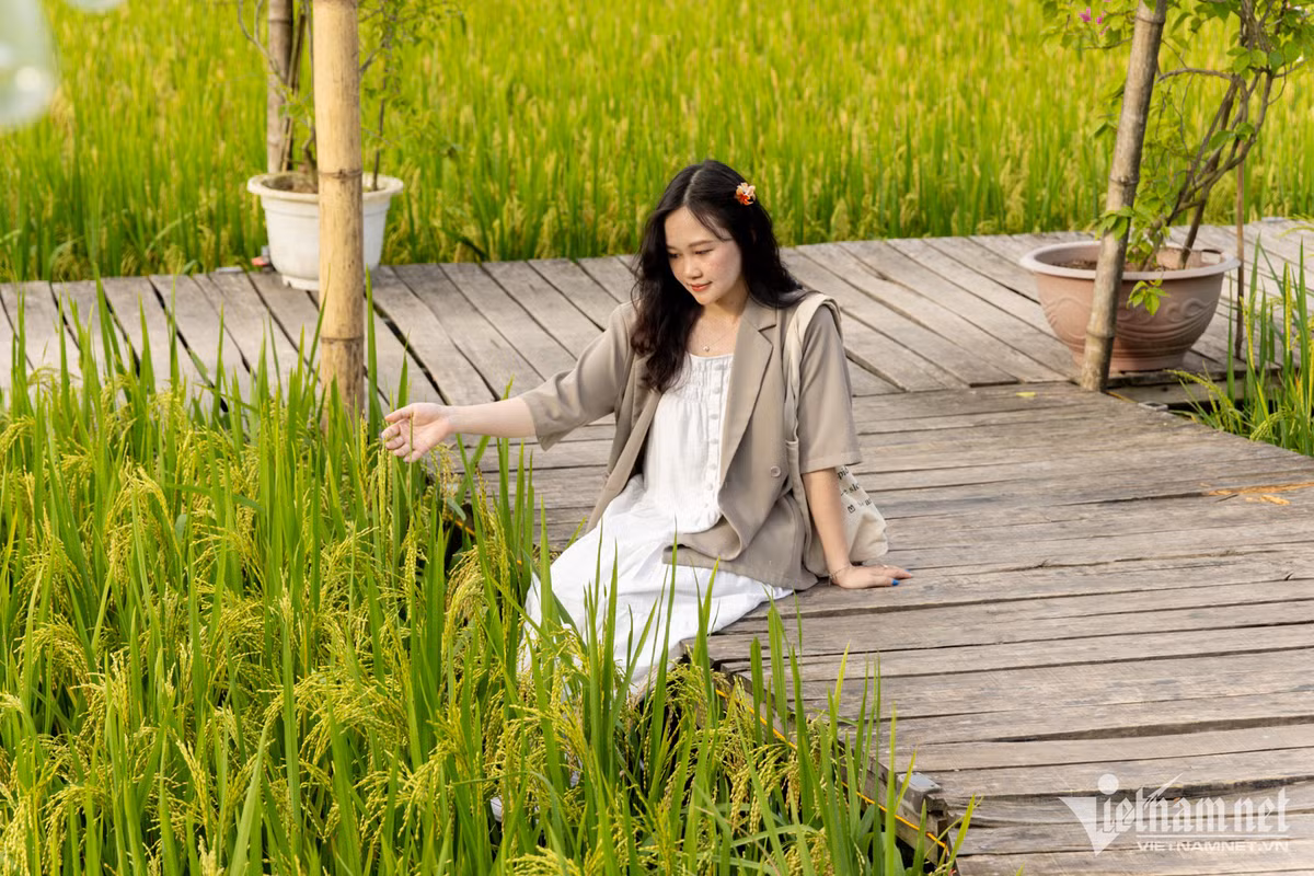 Bạn trẻ Nguyễn Thị Thu Trang thích thú với cách thiết kế của quán cà phê. "Tôi là người sáng tạo nội dung trên mạng xã hội, từng đi nhiều nơi và đến rất nhiều quán cà phê. Riêng không gian nơi đây làm cho tôi ấn tượng. Nó quá bình yên, chiều xuống ngắm hoàng hôn thì vô cùng đẹp", Trang tâm sự.